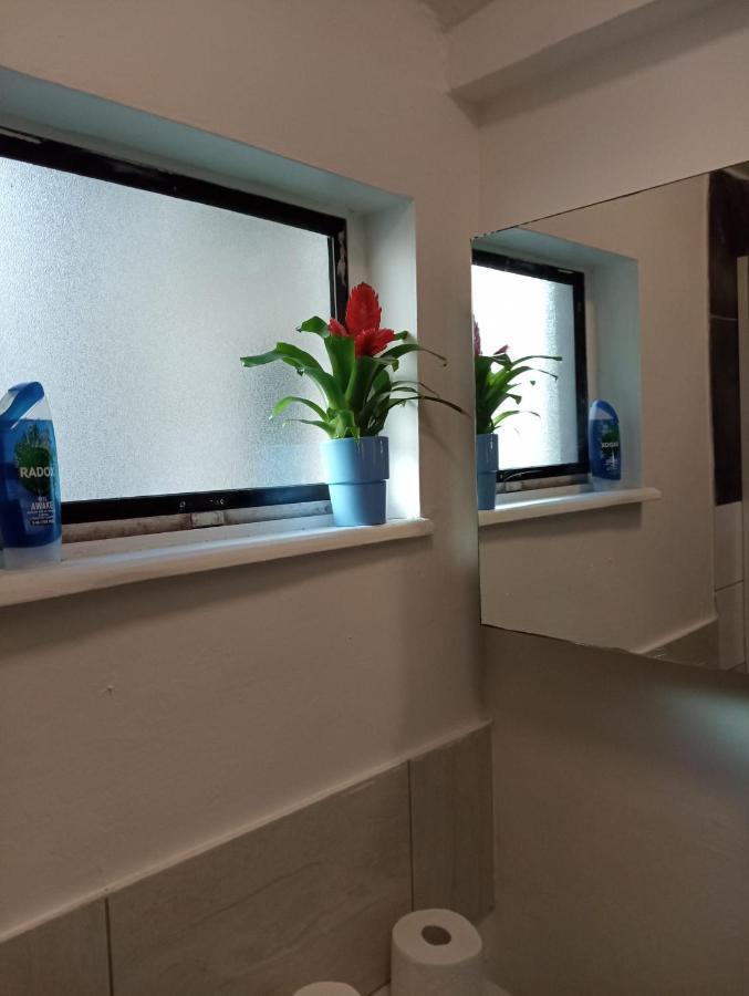 Jacuzzi Jungle Centre Apartment