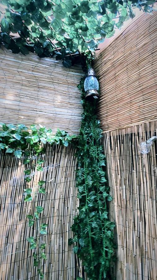 Jacuzzi Jungle Centre Apartment *